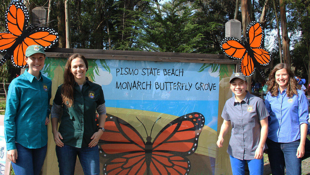 Pismo State Beach Monarch Butterfly Grove