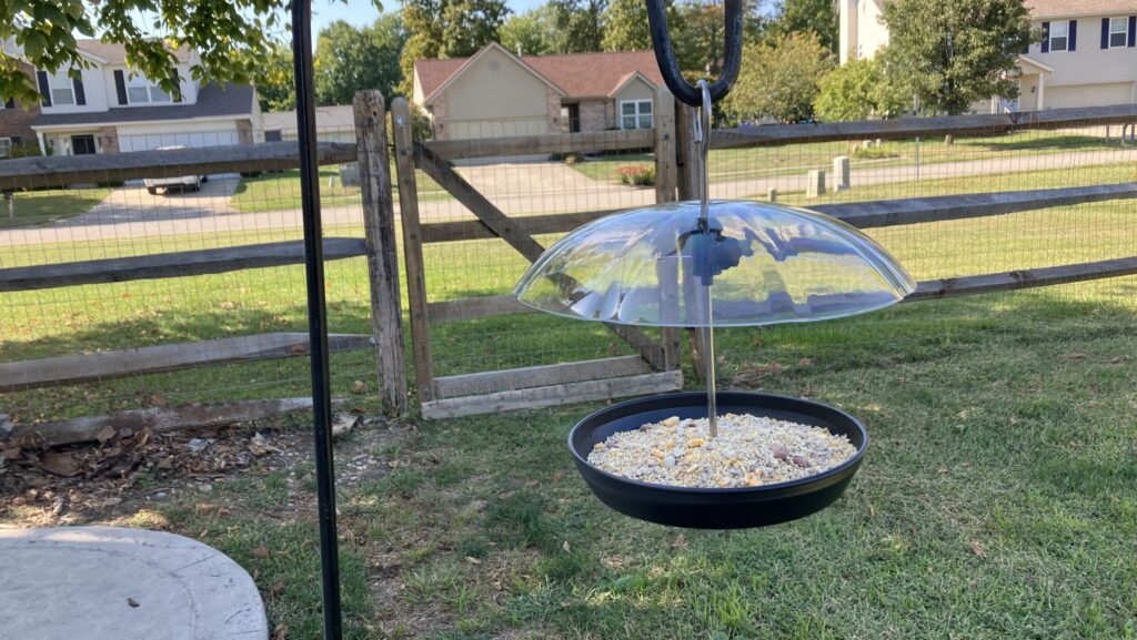 Dome bird feeder hanging in a backyard garden