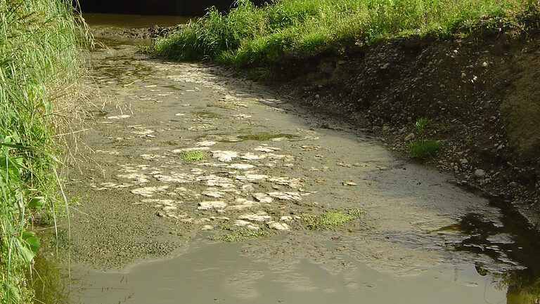 Water pollution from dairy farm