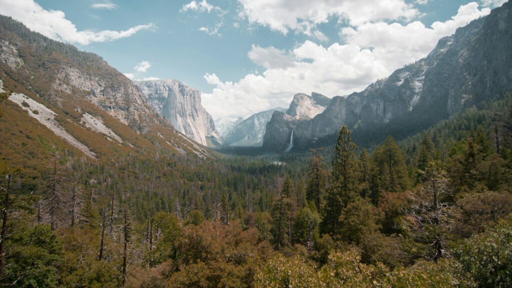 Sierra Nevada landscape with alpine forests and rugged mountain terrain