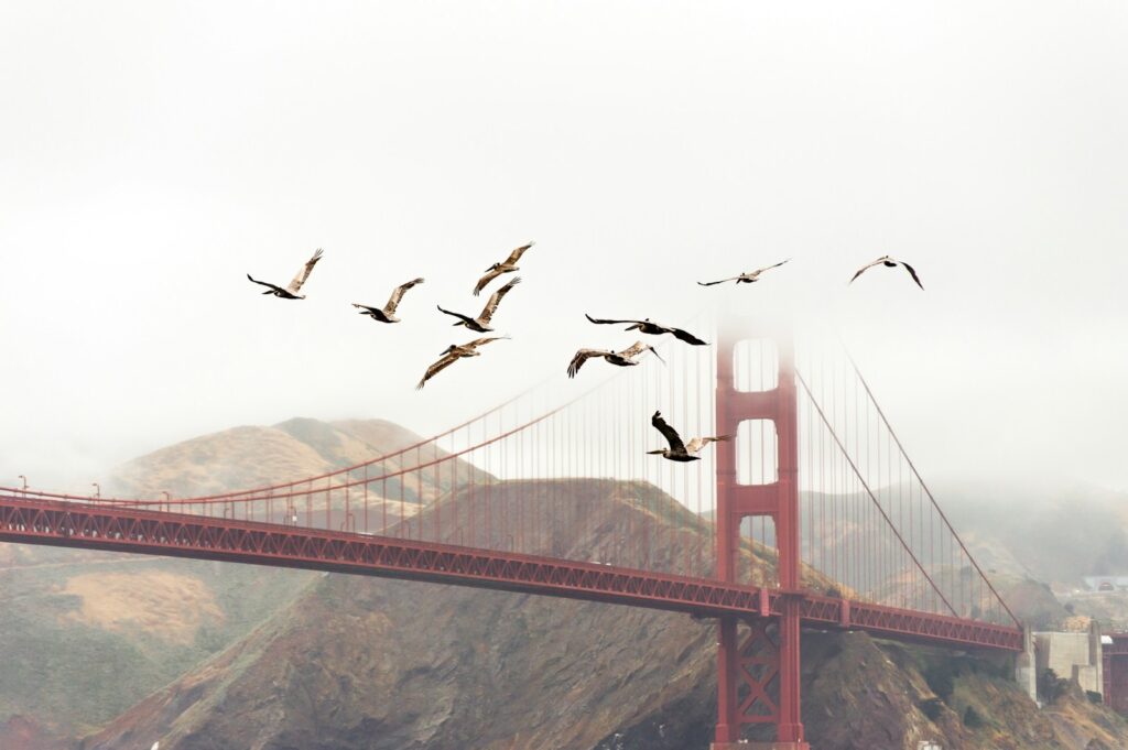 bridge near mountain with birds flying over