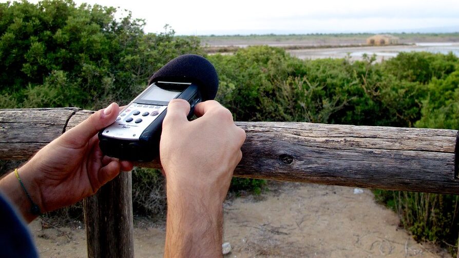 Person holding a bird sound recording device