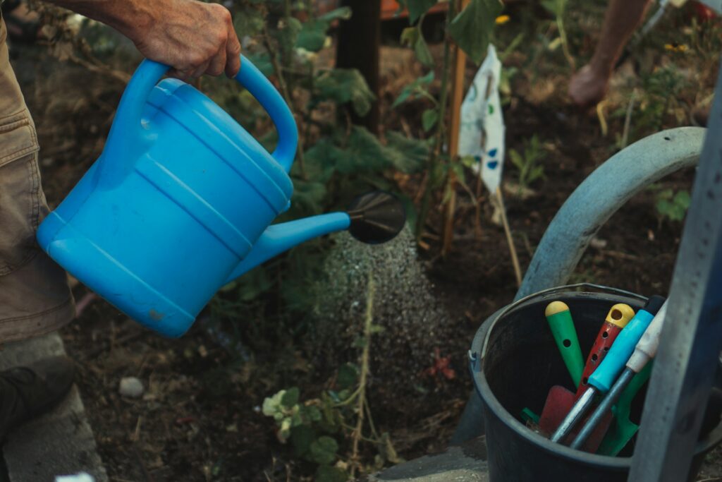 Person using watering can to water plants