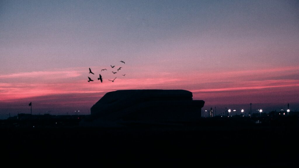 Birds flying across the evening sky with a rooftop view in the foreground