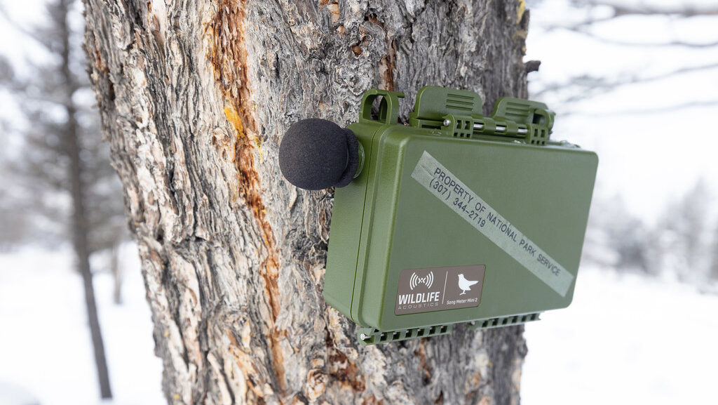 Green autonomous recording units mounted on a tree, used for wildlife monitoring and data collection