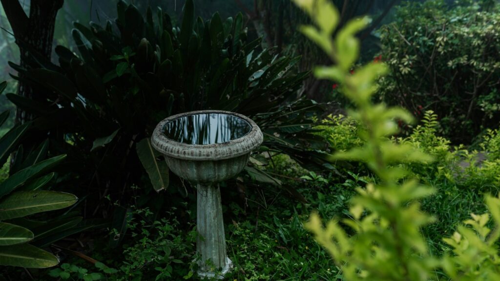 A stone bird bath surrounded by lush greenery in a peaceful garden