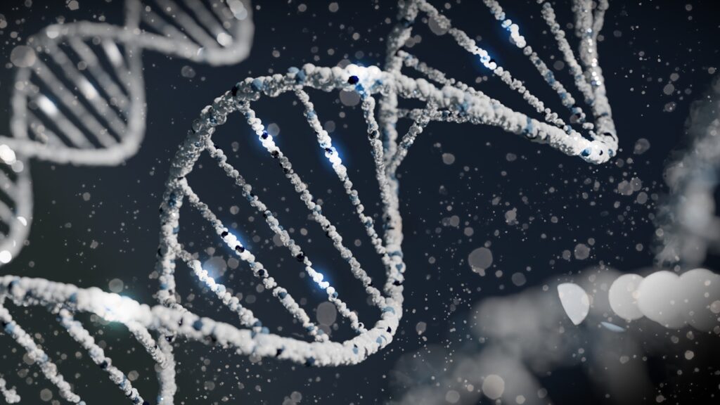 Visual representation of DNA structure