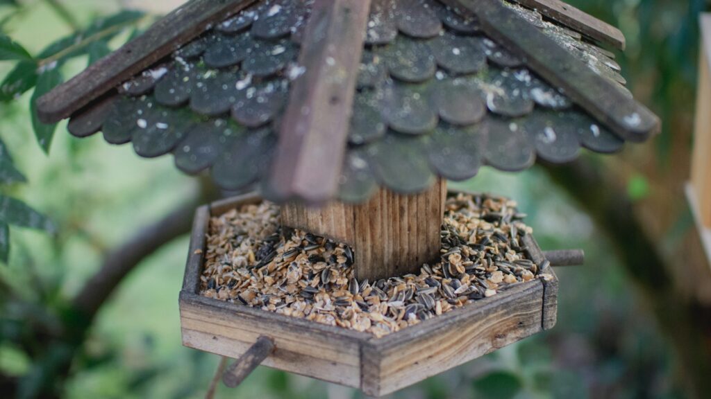 Old wooden platform feeder with roof shelter, full of mixed bird seed