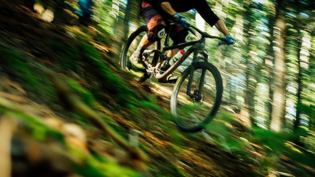 Biker going downhill in a forested area