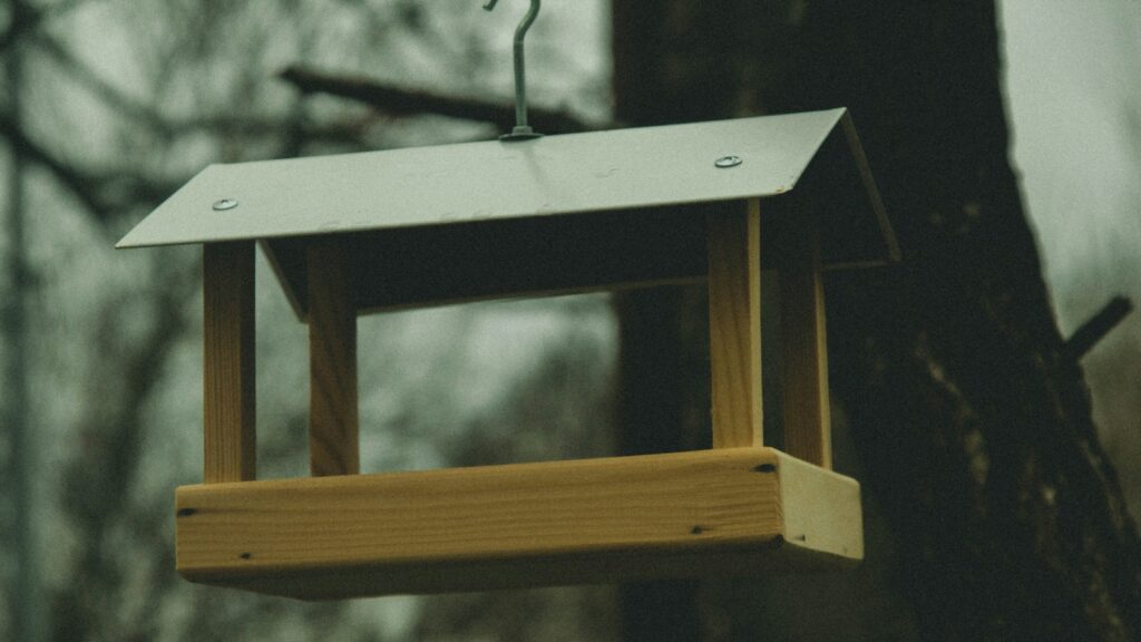 bird feeder hanging from a tree