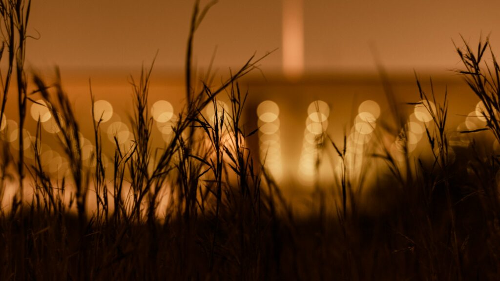 Grass with glowing bright lights in the background