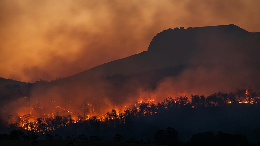 Dark tree outlines burning in an intense bushfire, with smoke and flames rising