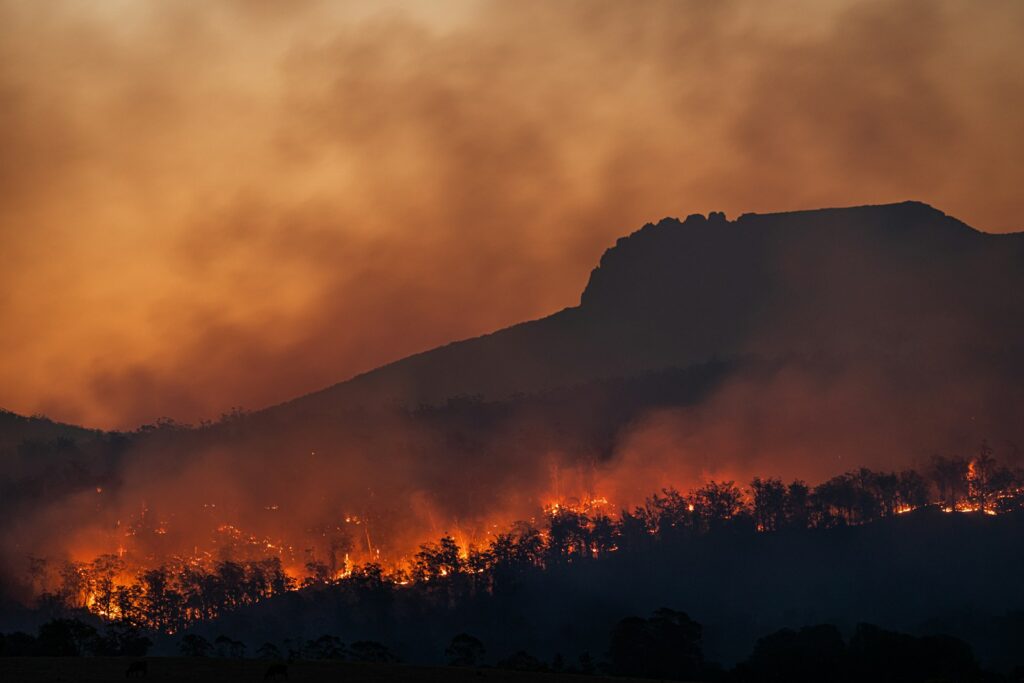 Wildfire in Australia