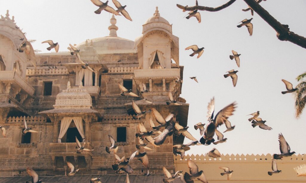 A flock of pigeons flies in front of a building.