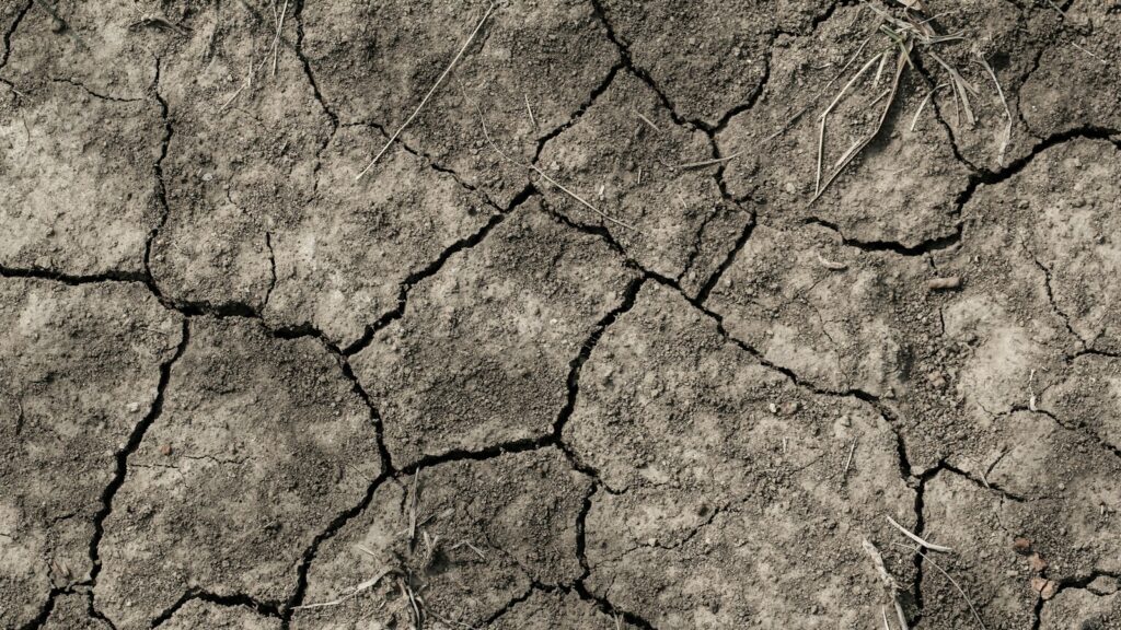Close-up view of dry, cracked soil showing signs of drought