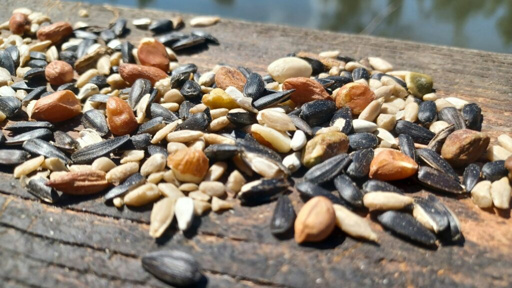 Mixed bird seed scattered on a wooden surface