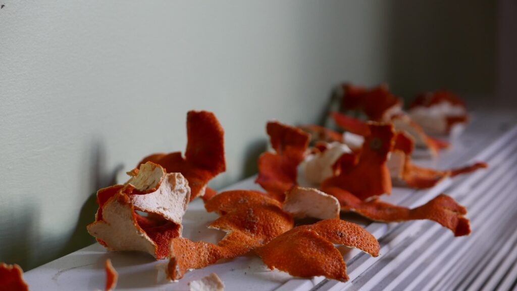 orange fruit peels on top of a radiator