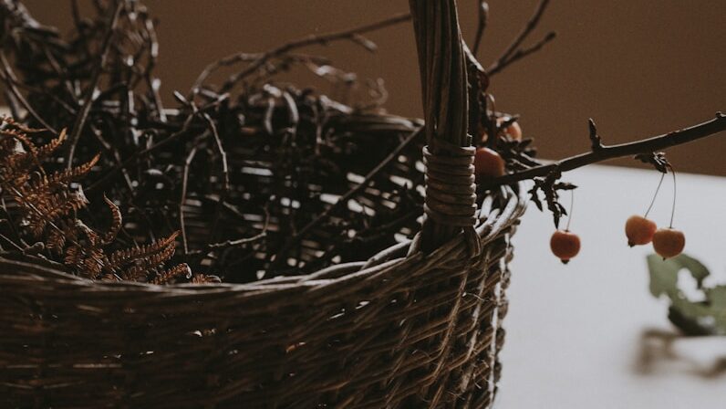 Berry basket with twigs inside