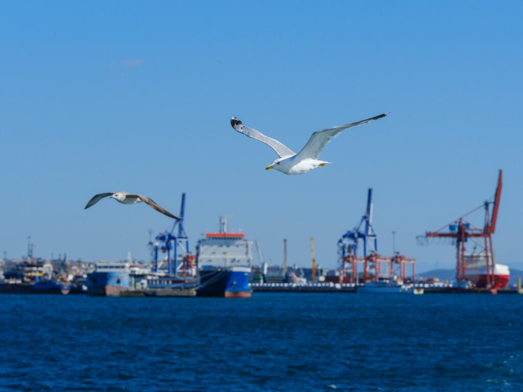 Two seagulls fly over water, overlooking a bustling port with ships and industrial cranes.