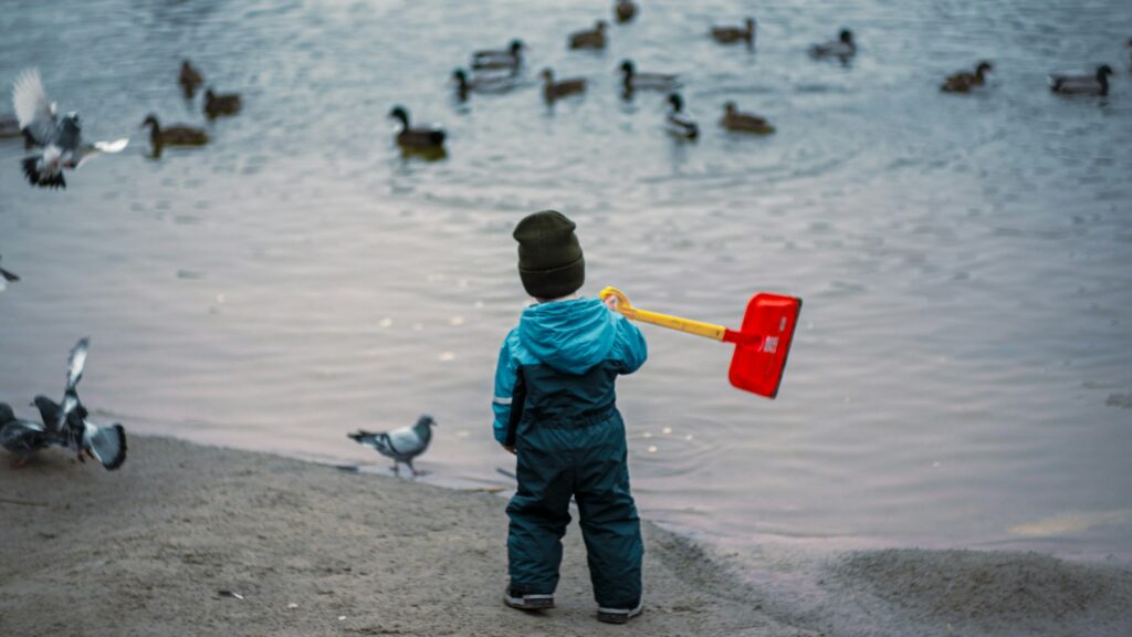Curious child watching doves and ducks by the water's edge