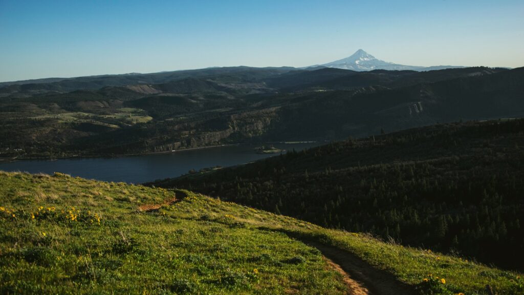 Columbia River landscape featuring open grassland, lush forest, and flowing river