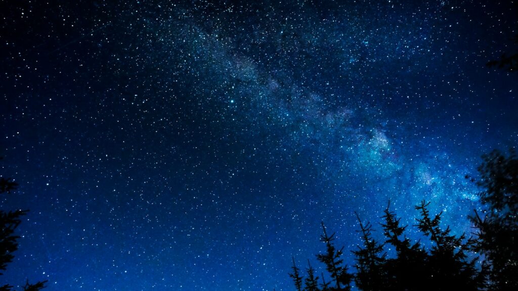 Silhouette of trees against a starry night sky