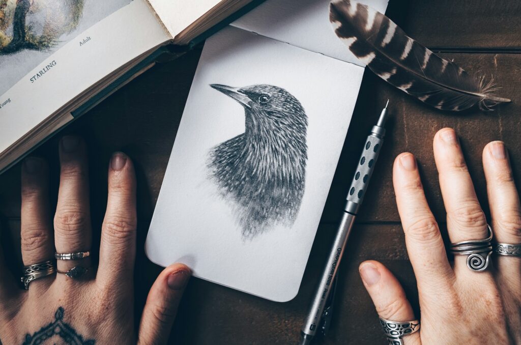 Detailed drawing of an adult Starling with speckled plumage.