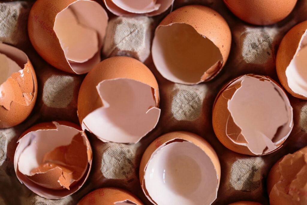 Broken eggshells on an egg tray