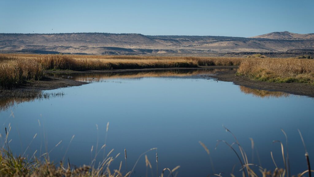 View of a body of water in Malheur National Wildlife Refuge landscape