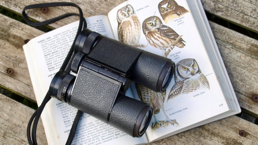 Black binoculars on top of opened book