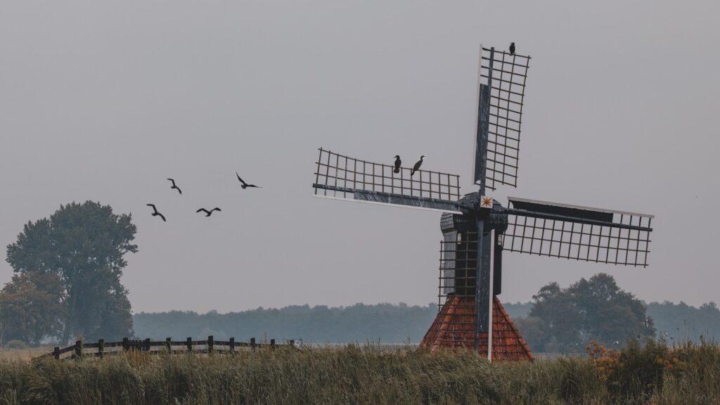 red and gray windmill on green grass field during daytime