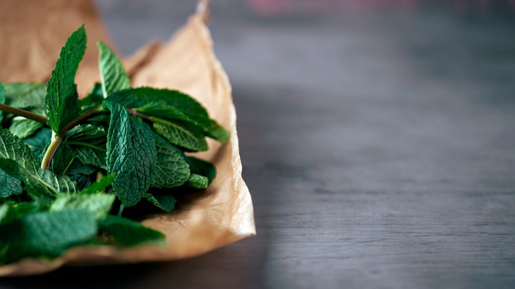 Fresh mint leaves laid out on brown paper
