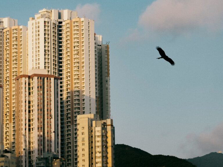 a bird flying in front of a tall building