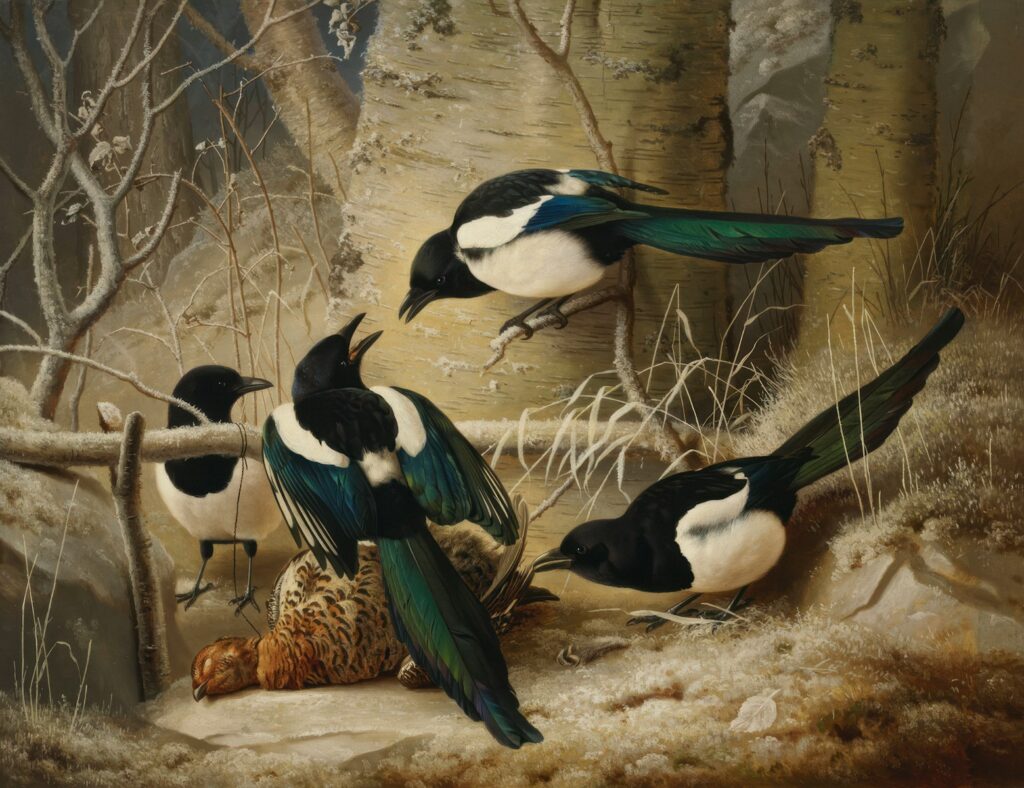 Magpies round a dead woodgrouse by Ferdinand von Wright.