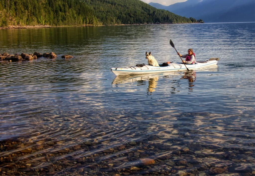 A person paddles a kayak with a dog sitting in the front.