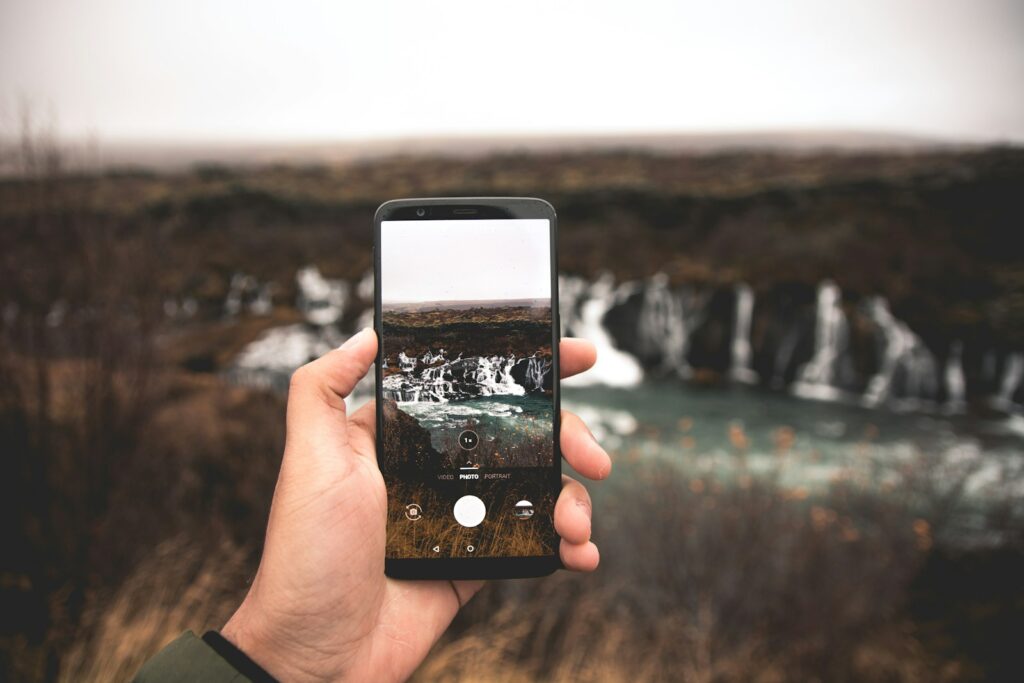 A person using a black smartphone is taking a photo of the bird.