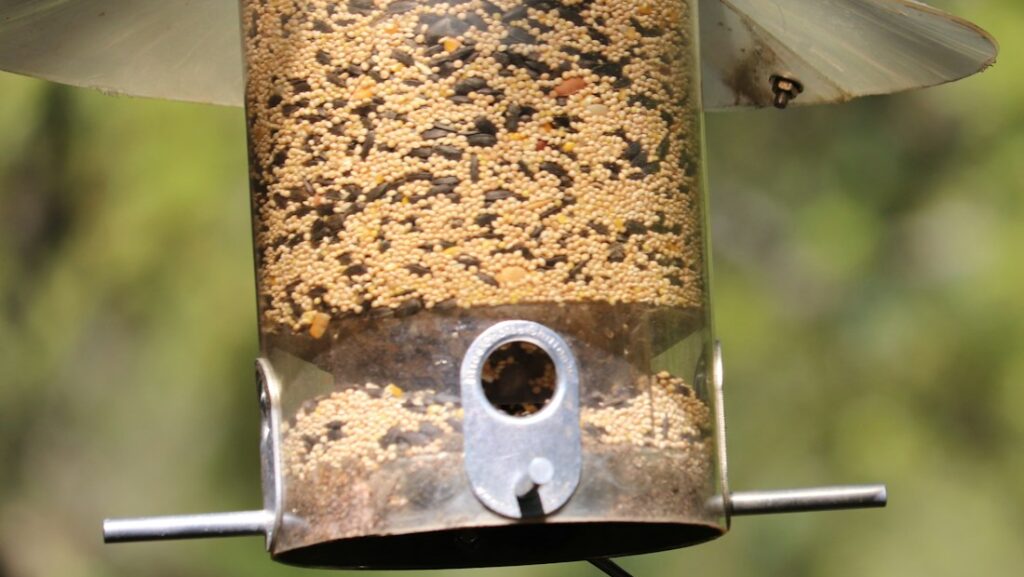 Bird feeder filled with mixed bird seed hanging in a backyard garden