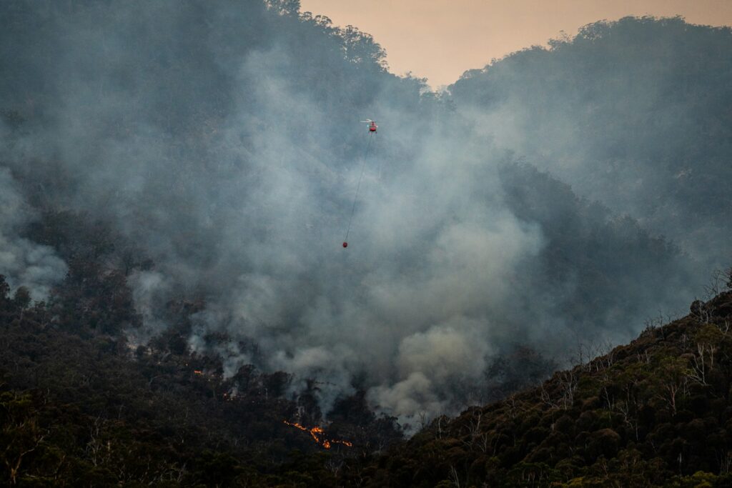 Fire and smoke in the wildlife