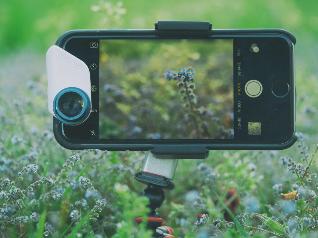 A smartphone with an attached Olloclip lens captures a field of flowers and bird.