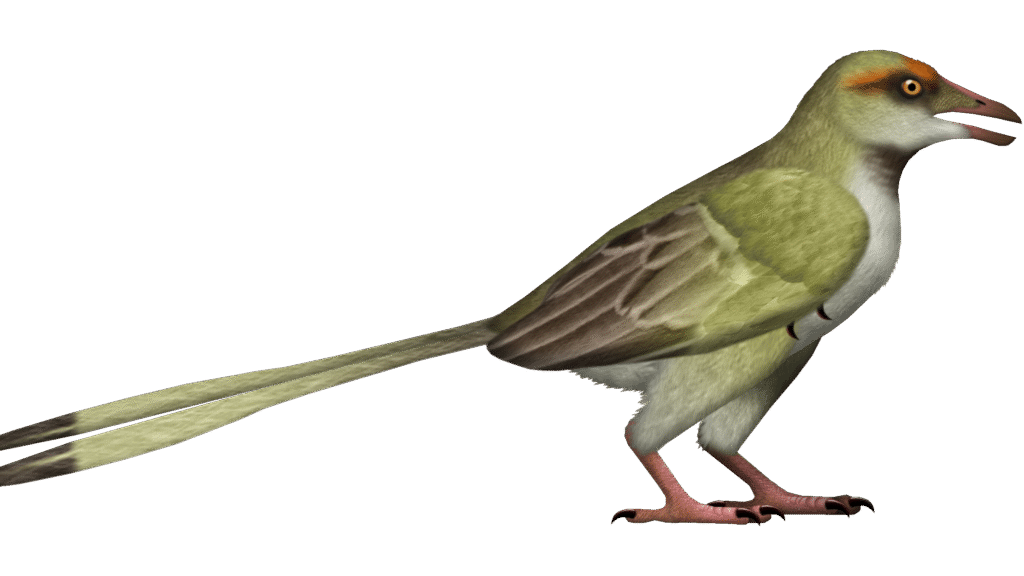Illustration of Navaornis, a Late Cretaceous enantiornithean bird
