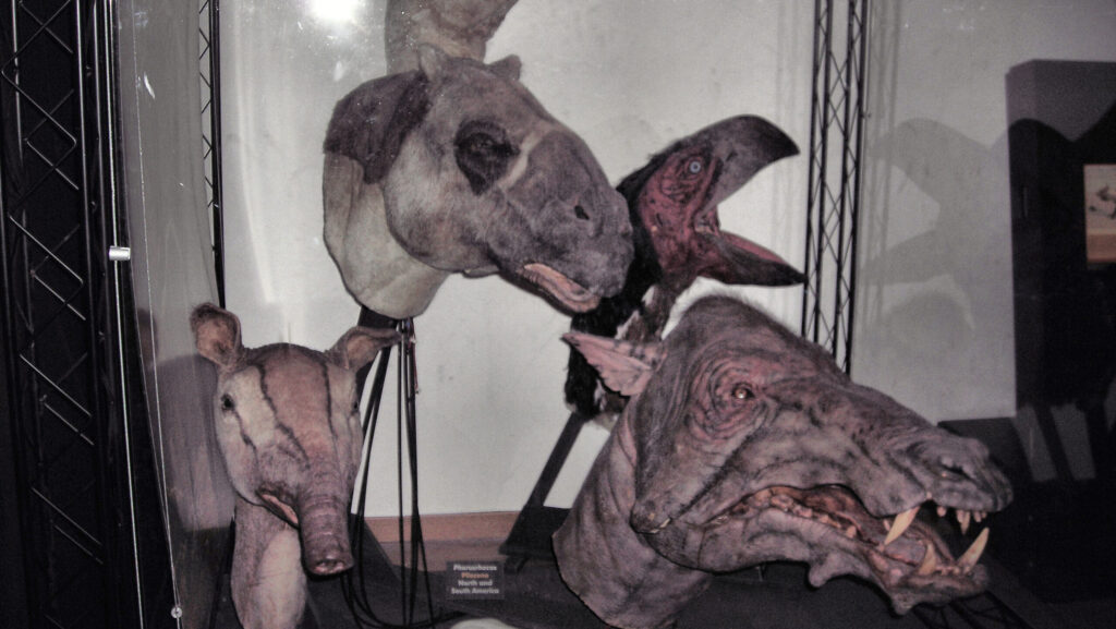 Animal head models used in BBC’s Walk with Beasts documentary series