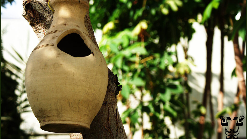 Broken clay pot repurposed as a bird nest hanging from a tree branch