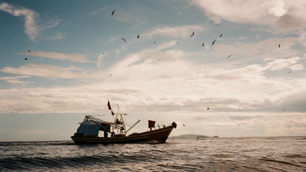 Seabirds flying above a ship sailing through open ocean waters