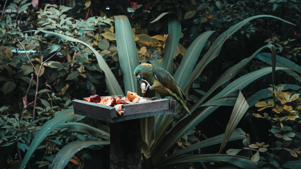 Colorful parrot perched on feeder platform eating fresh fruit