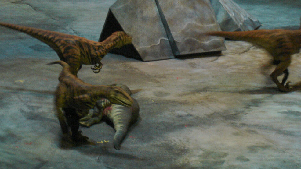 Utahraptor pack hunting from Walking With Dinosaurs at Acer Arena stage exhibit