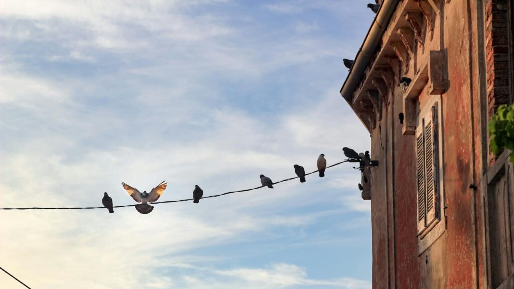 A group of pigeons sit on a wire against a cloudy blue sky next to a building.