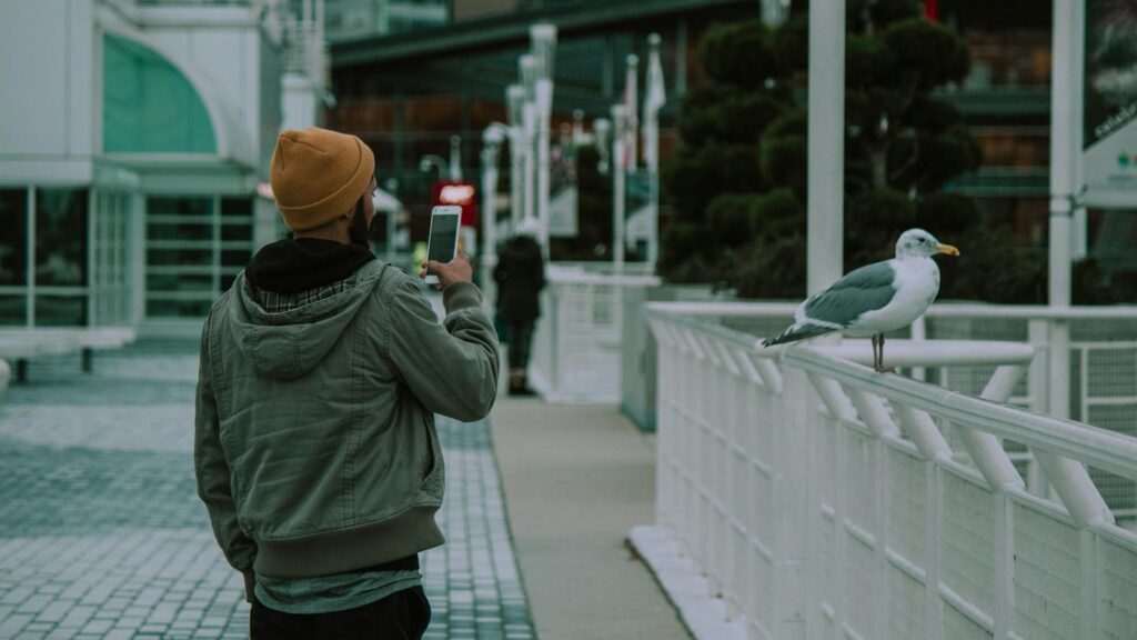 Man aiming camera at seagull perched on metal railing in urban setting
