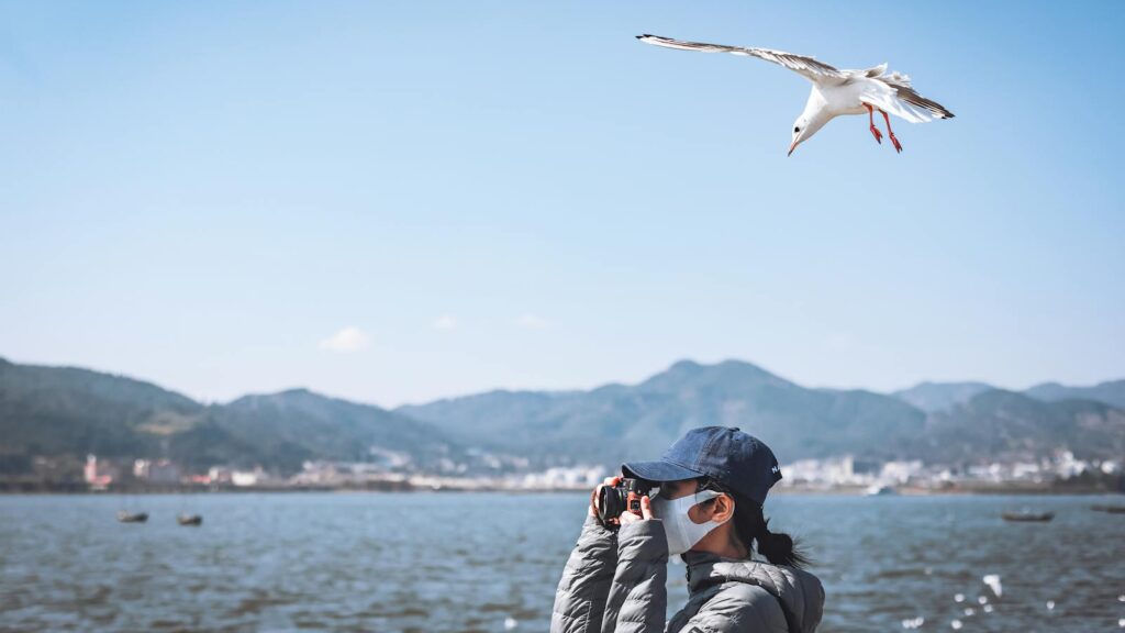 Seagull flying overhead while woman focuses on taking picture