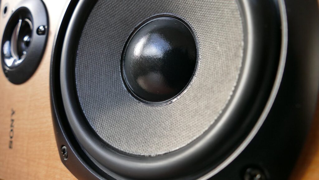 Close-up of a modern speaker woofer cone