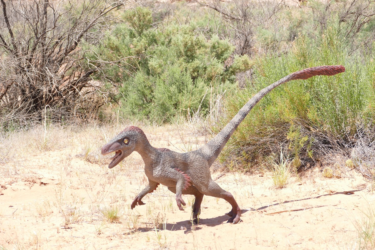 Velociraptor's Scavenging Habits (image credits: pixabay)